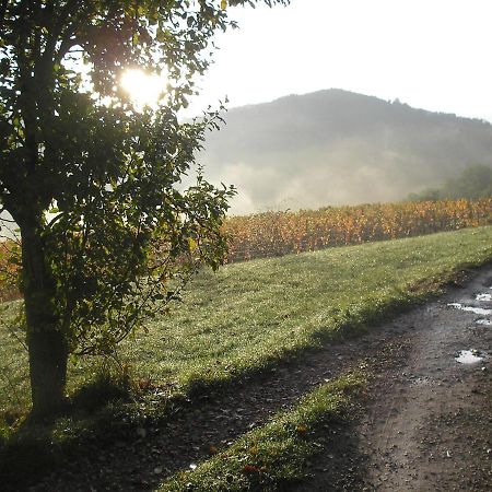 Grange Renovee En Pleine Nature Valady Eksteriør bilde