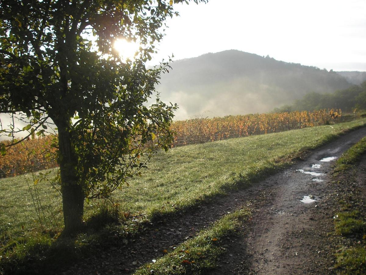 Grange Renovee En Pleine Nature Valady Eksteriør bilde